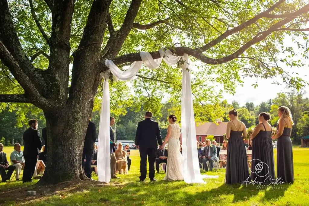 Outdoor wedding ceremony under the large tree at the 228 in Sterling, MA with draped white fabric. The bride and groom stand in the center, flanked by bridesmaids in dark dresses and groomsmen in suits. Guests are seated nearby.